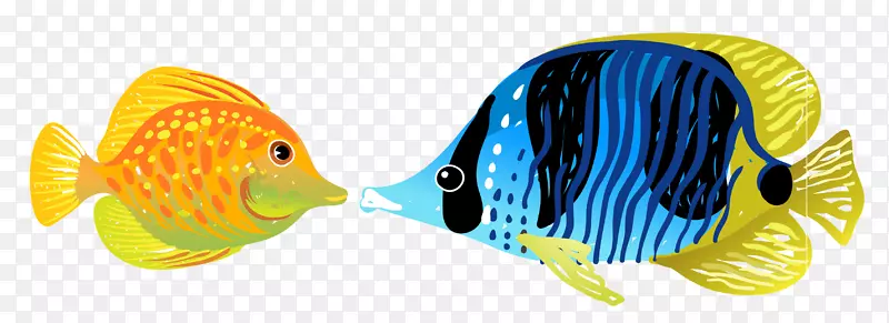 鱼类水生动物插图.鱼