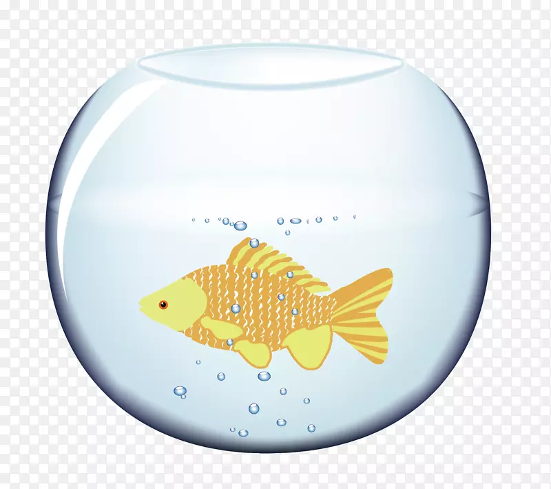 鱼蓝橙水族馆-水族馆鱼