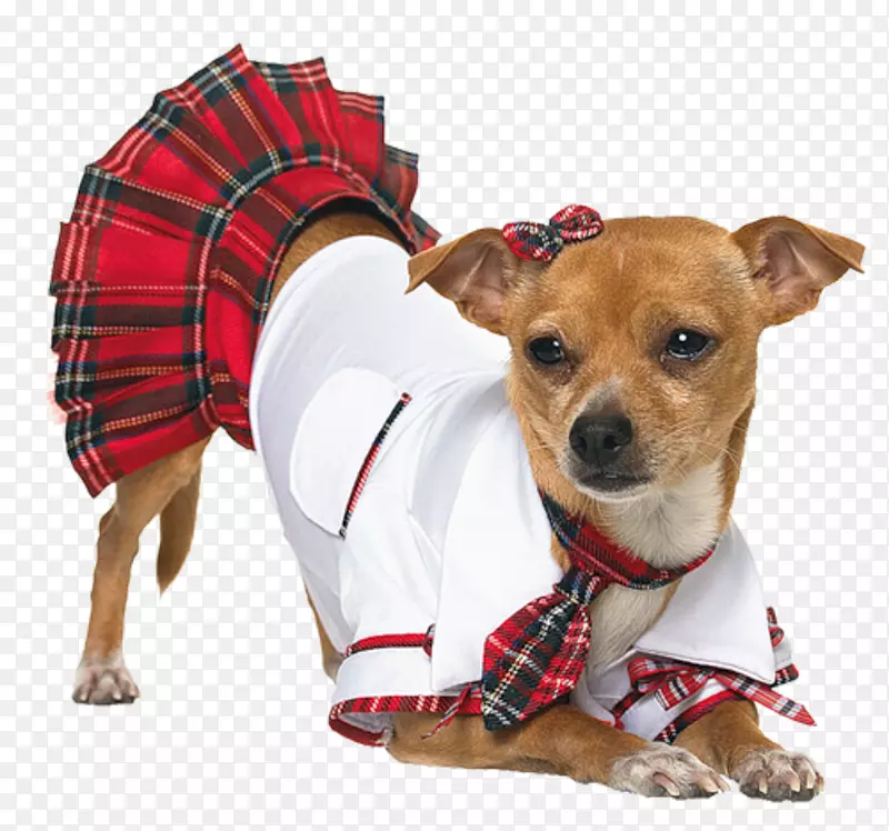 狗万圣节服装女装小狗穿衣服的小狗