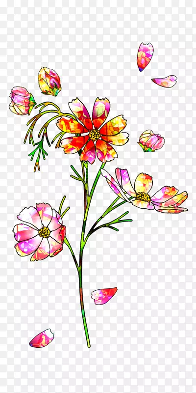 花卉设计插花艺术-五颜六色的绚丽花纹