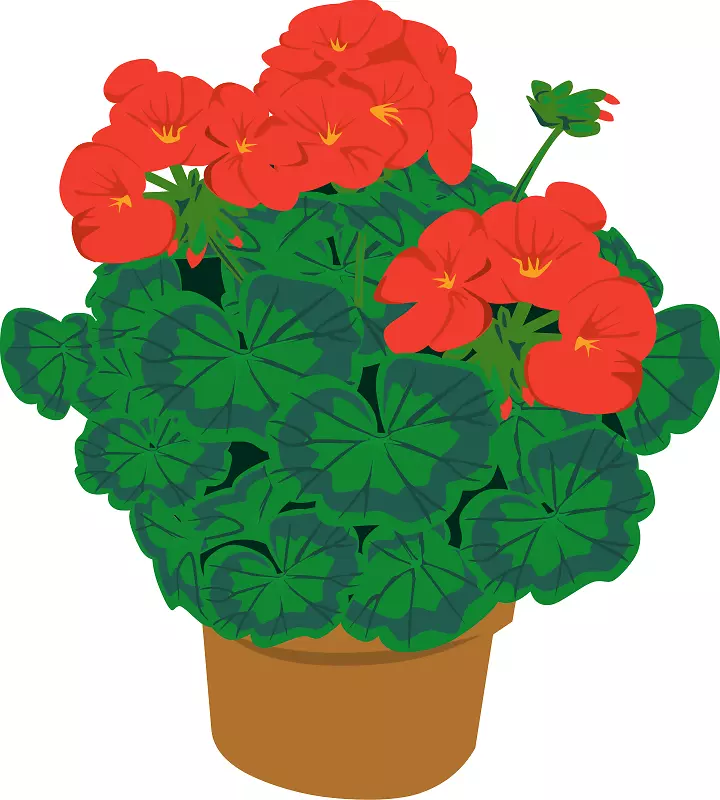 室内植物花盆剪贴画-兰塔纳花梗