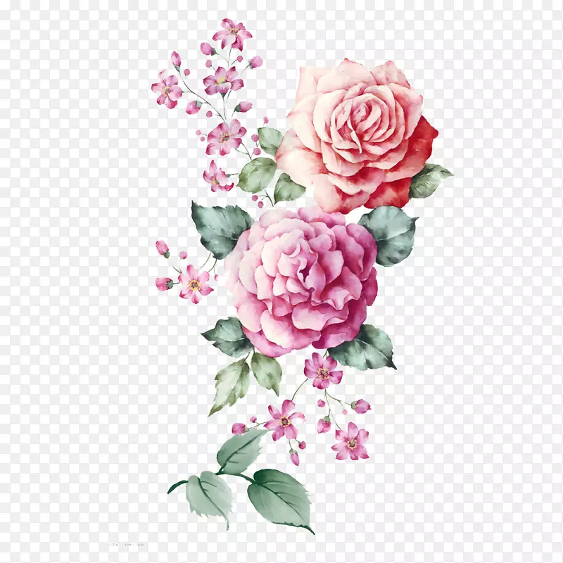 蝴蝶水彩画插图-两队粉红色牡丹花房