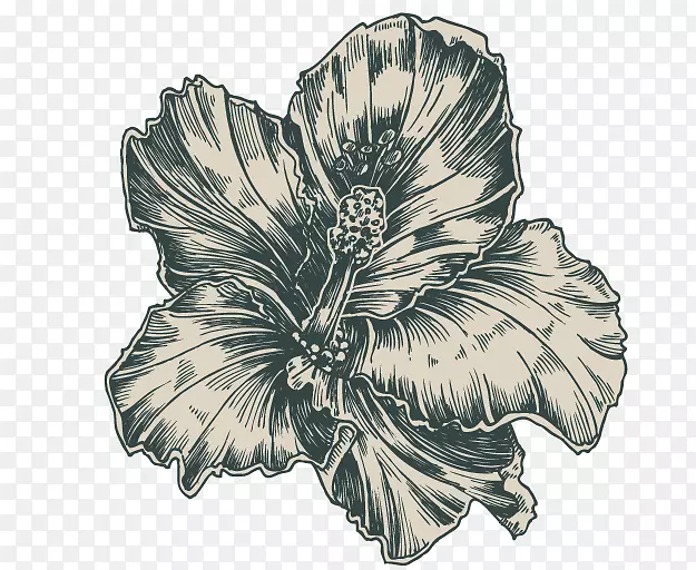 花卉插画师-复古花
