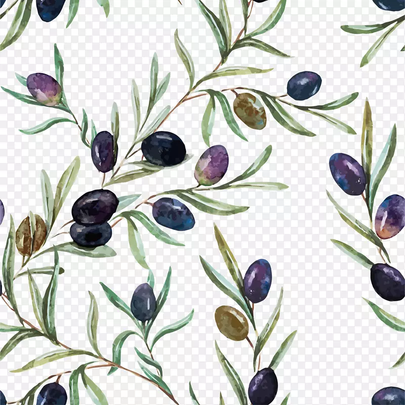 水彩画橄榄油插图.水彩花卉