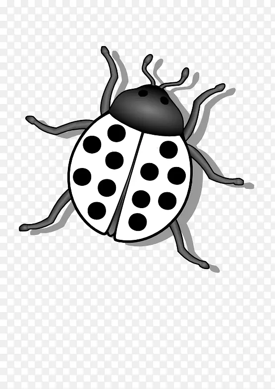 甲虫-瓢虫剪贴画-黑色瓢虫剪贴画