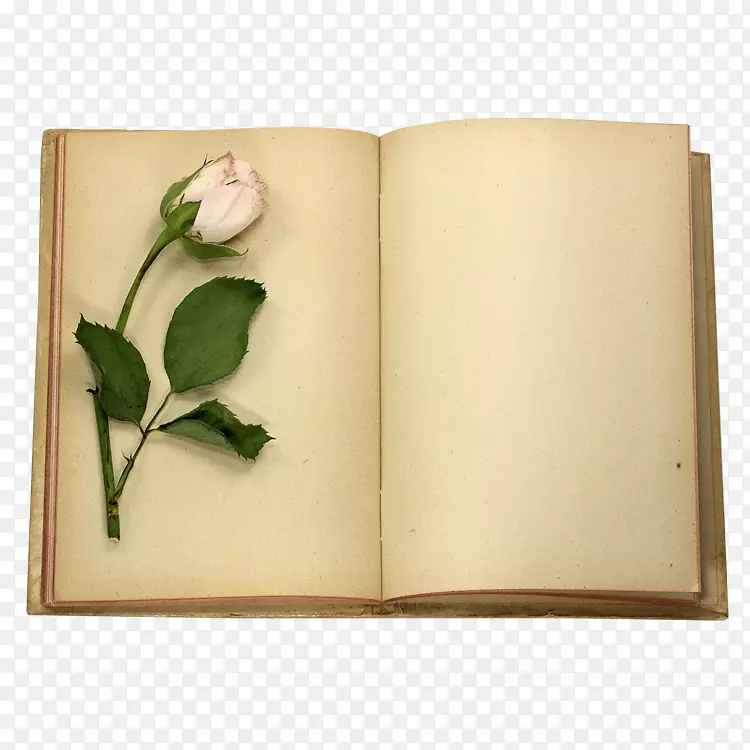 书籍玫瑰摄影剪贴画-花书