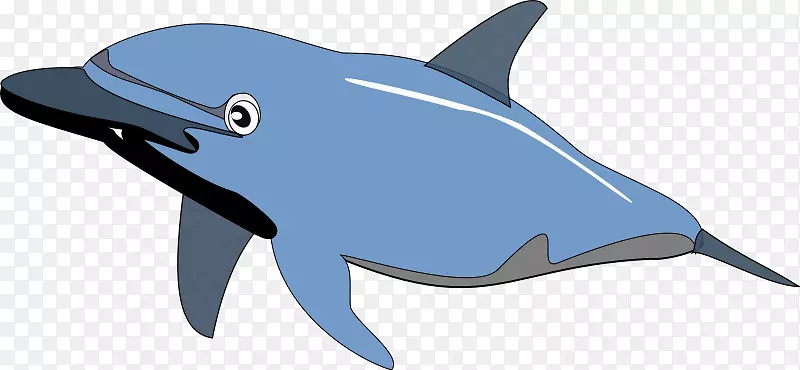 海豚免费内容剪辑艺术-海洋动物剪贴画