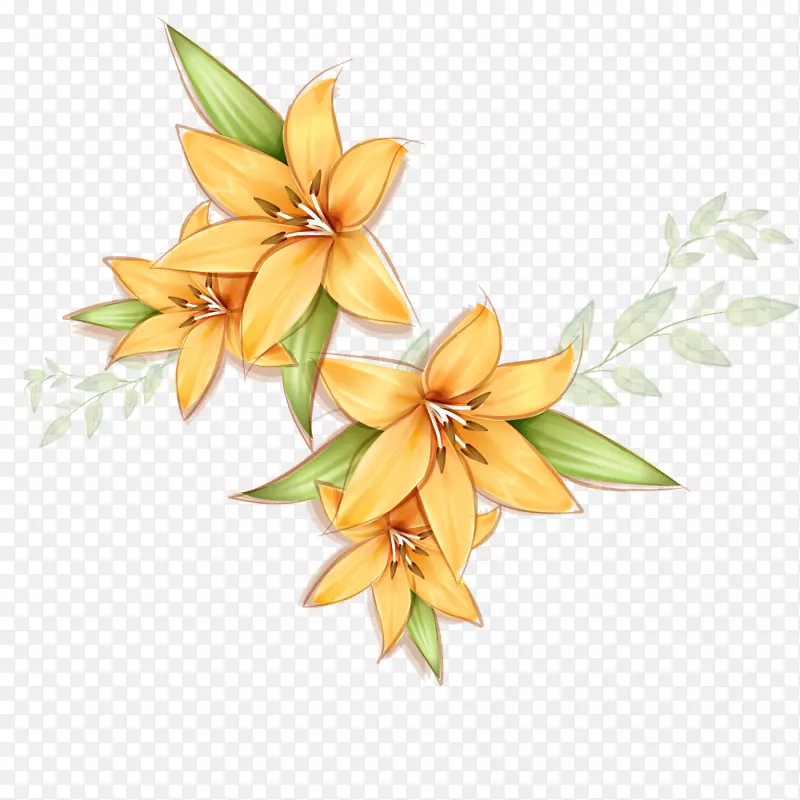 花黄色百合花瓣-创造性手绘百合黄花