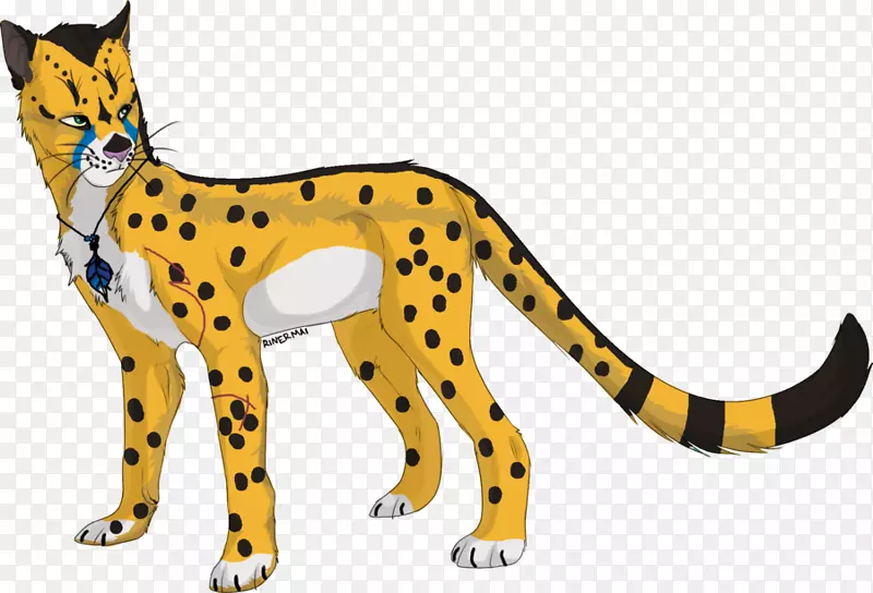 猎豹、豹子、西鹿、狮子、猫科动物-猎豹图画图像