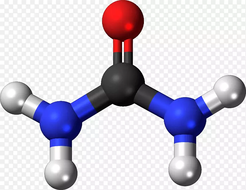 尿素分子化学分子模型