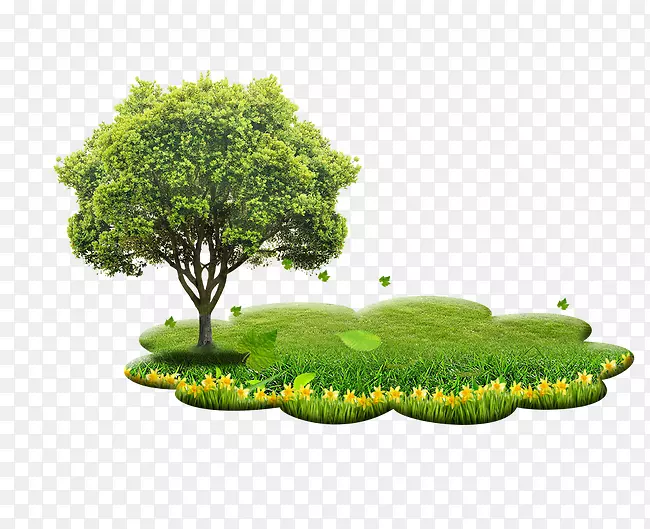 植树巨杉-树木草元素