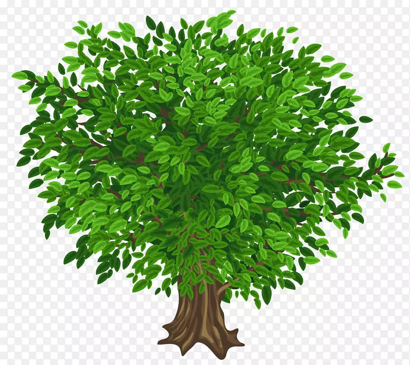 树木剪贴画-绿色树木剪贴画