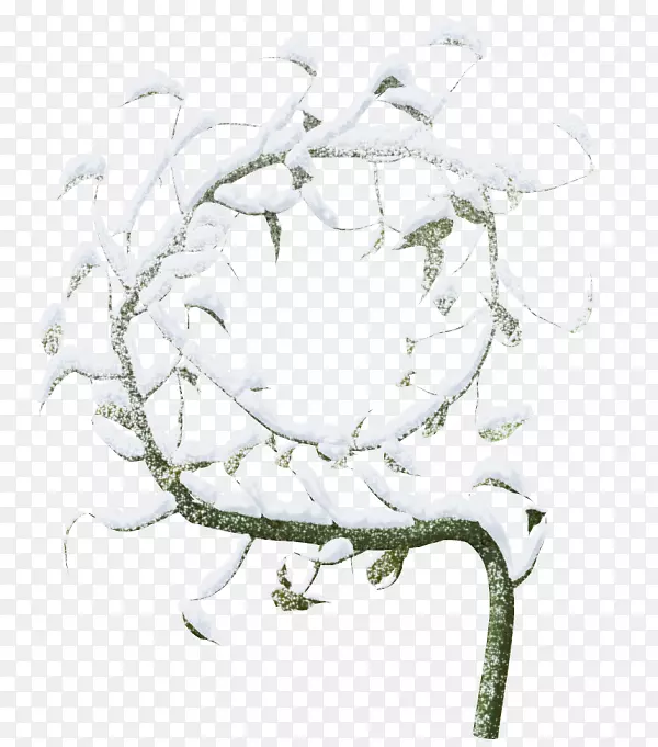 冬季雪夹艺术-创意冬季