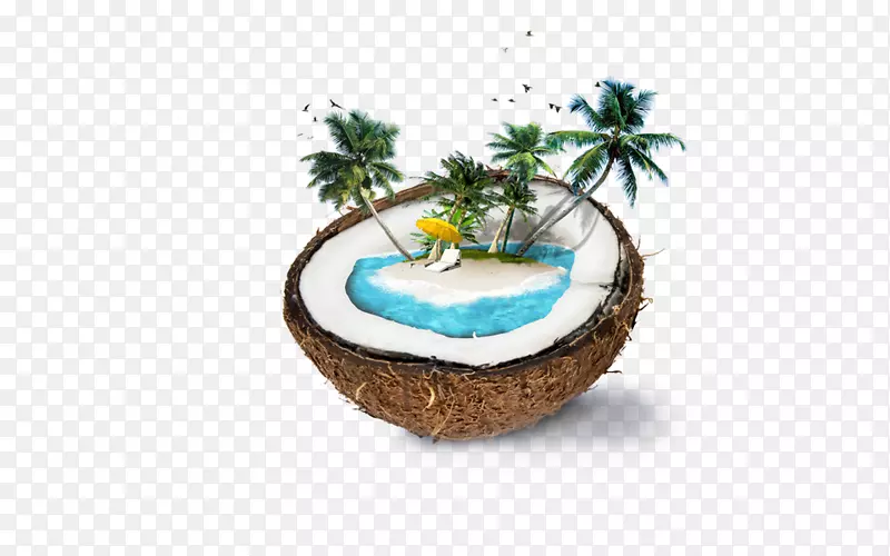 Nadi Weligama椰子水椰子奶-椰子和棕榈滩
