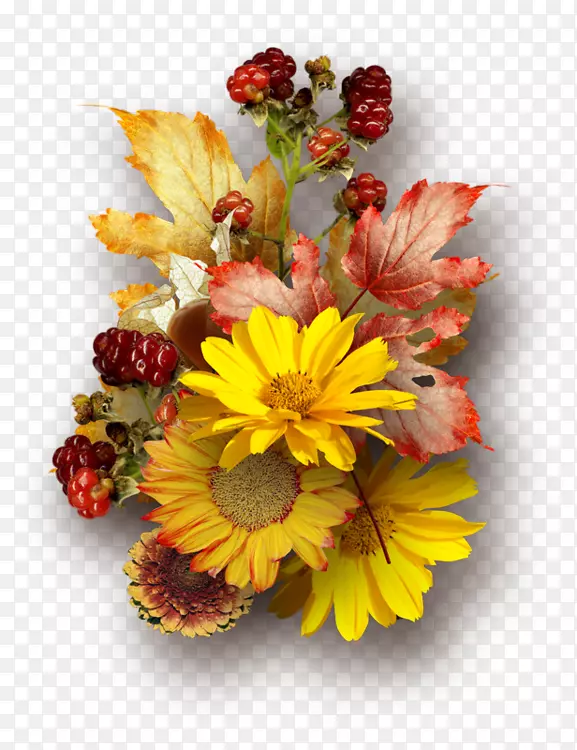 花卉秋季摄影-复古花卉植物材料免费垫