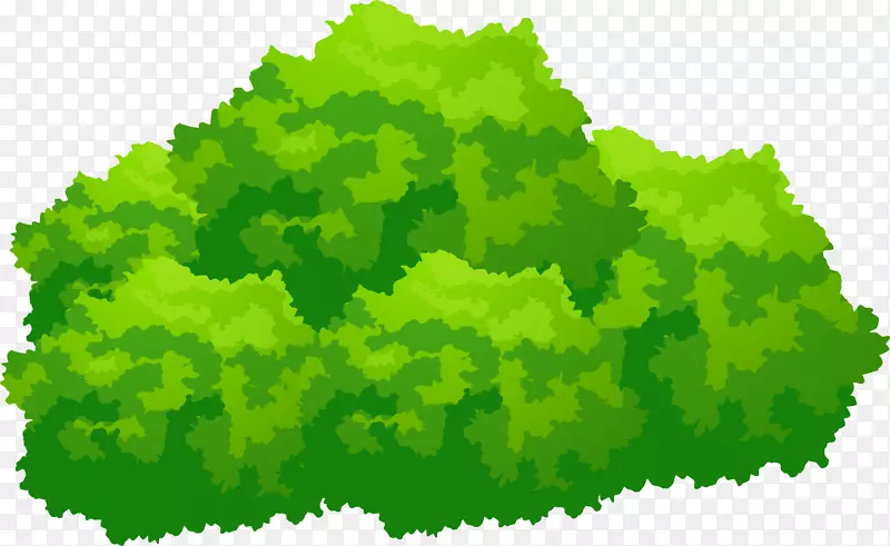 绿色澳大利亚-手绘绿草