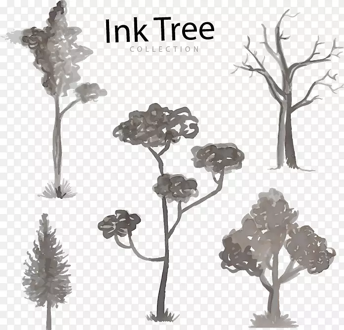 黑白树水彩画小枝插图-树木水彩笔