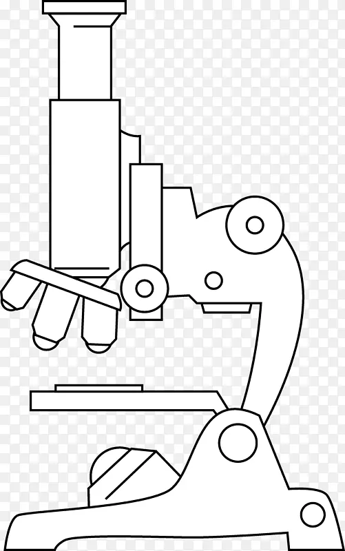 线艺术显微镜绘图夹艺术显微镜图片