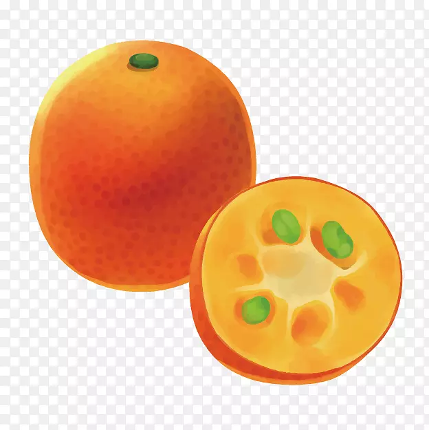 橙色三维计算机图形水果食品草图三维图像