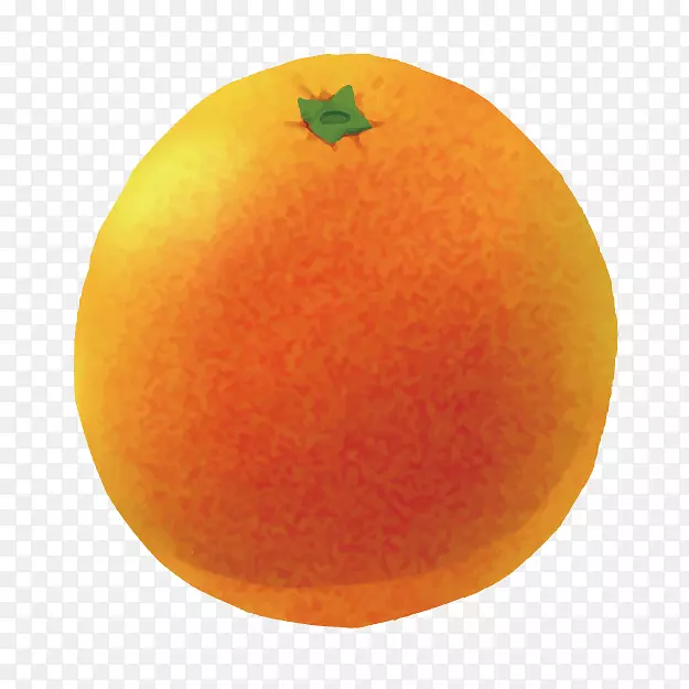 克莱门汀葡萄柚，扁桃，桔子，橘子，素描，卡通，3D创意食品