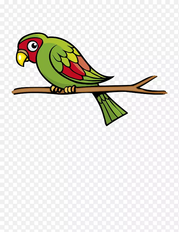 鹦鹉鸟嘴鹦鹉红绿鹦鹉卡通画