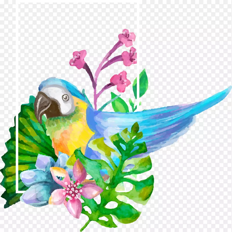鹦鹉画水彩画-画写实的审美装饰花和鹦鹉