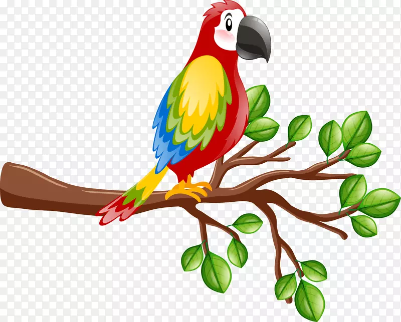 鸟类真鹦鹉、游隼、、真金刚鹦鹉-树枝上的鹦鹉