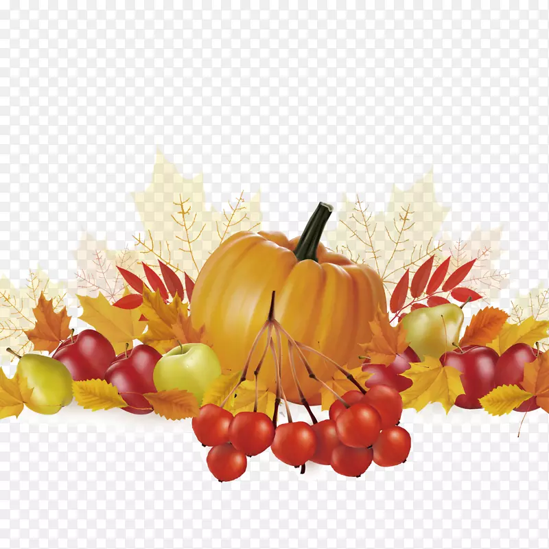 感恩节水果插图-秋南瓜和苹果图片