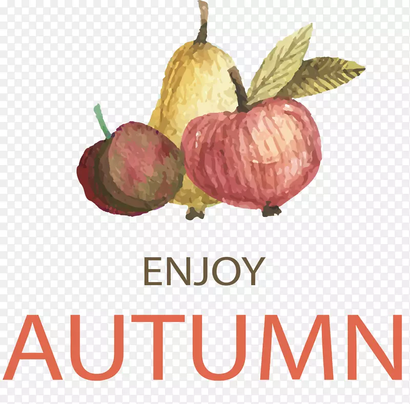 孵化cad学院标志商业合作公司-享受秋天的果实。