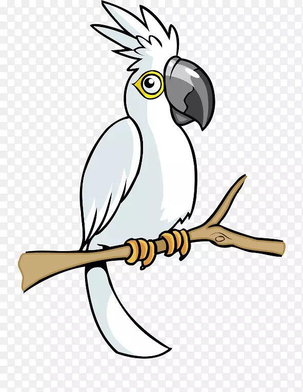 鸟鹦鹉剪贴画-白色卡通鹦鹉