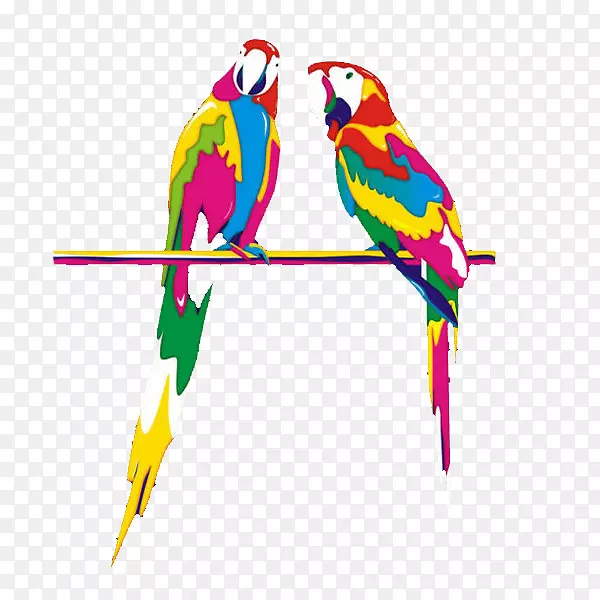 鹦鹉鸟鹦鹉夹艺术手绘彩色鹦鹉