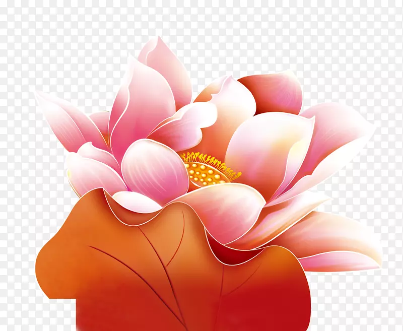 下载-莲花