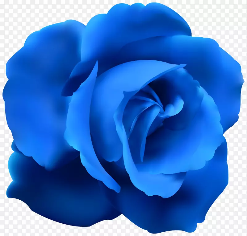 蓝色玫瑰插花艺术-蓝色玫瑰剪贴画
