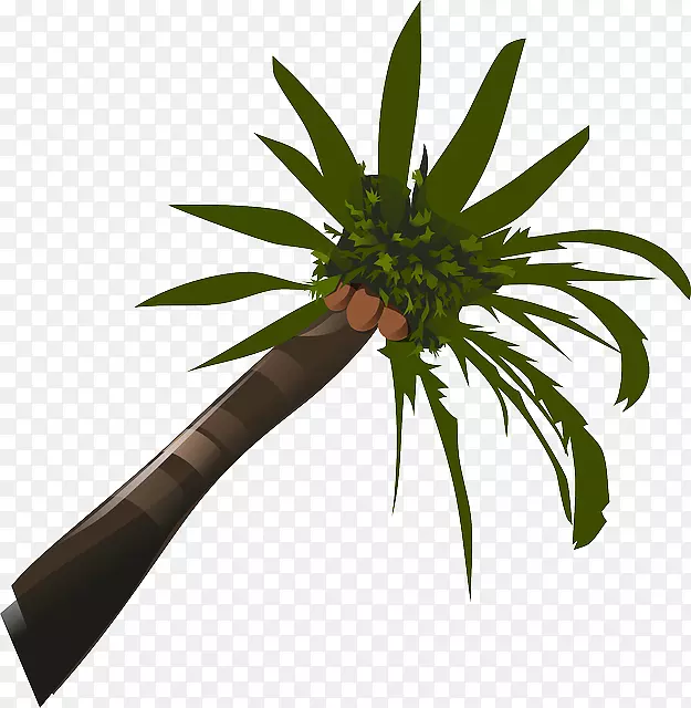 槟榔科椰子可伸缩图形剪辑艺术透明卡通棕榈树