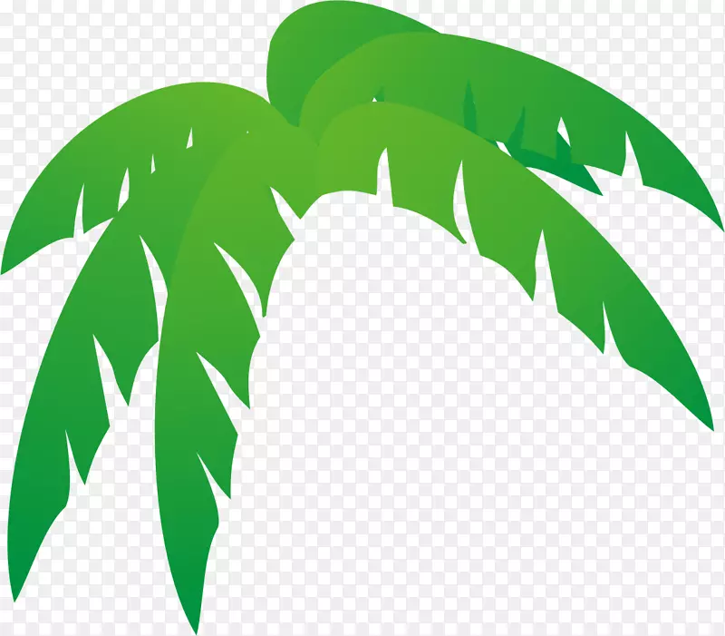 槟榔科树叶、乔木、棕榈枝、剪贴画.热带叶缘