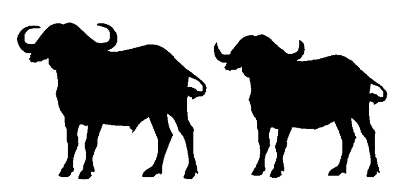 水牛可伸缩图形剪辑艺术.水牛轮廓