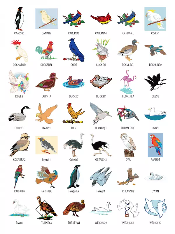 鸟类下载免费内容剪辑艺术-截图剪贴画
