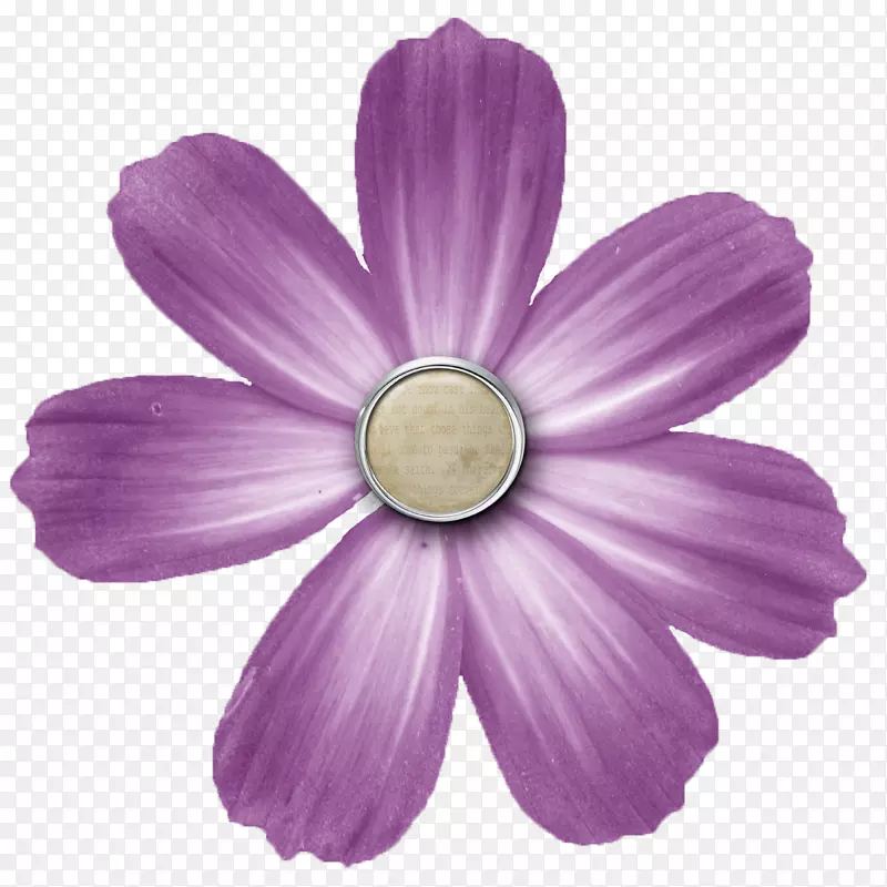 数码剪贴簿花卉按钮剪贴画-PNG透明紫色花