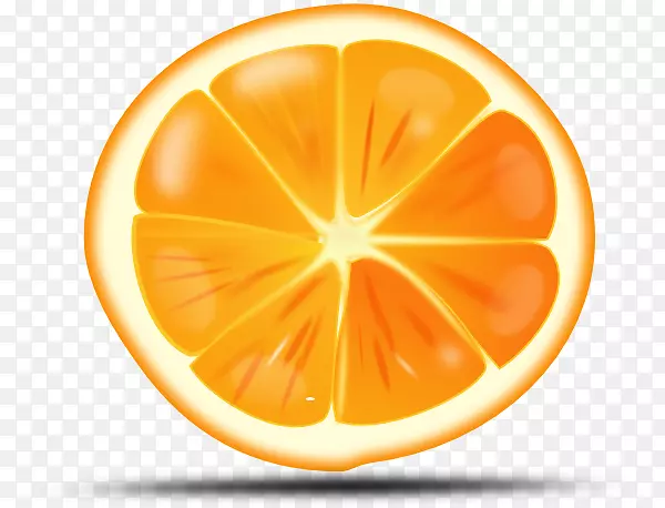 果汁玛格丽塔橙片剪贴画
