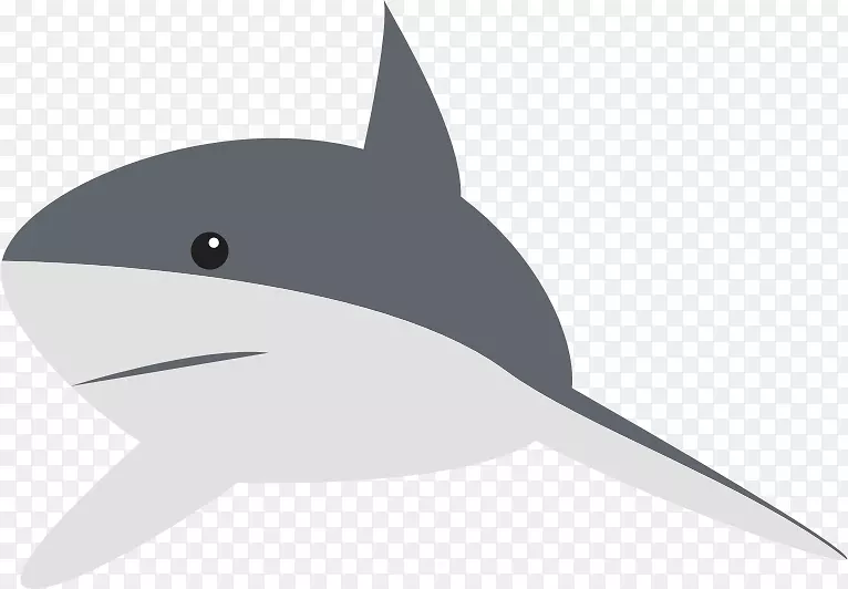 鱼翅汤-大白鲨剪贴画-卡通鲨鱼剪贴画