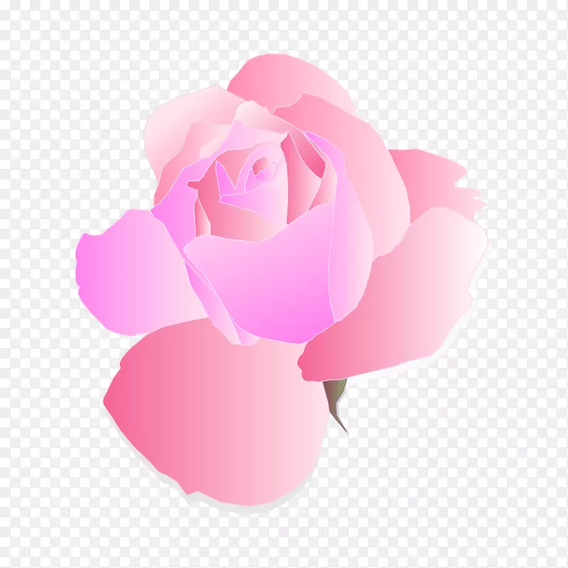 玫瑰粉色花朵剪贴画一朵粉红色的玫瑰