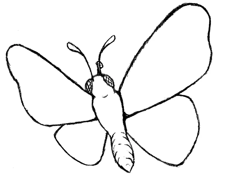帝王蝶虫夹艺术.可打印的蝴蝶剪贴画
