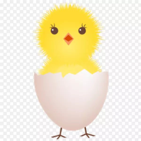 鸡煎蛋蛋壳夹艺术-小鸡下载ico