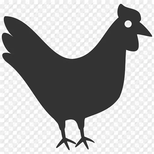 鸡肉电脑图标母鸡下载图标母鸡