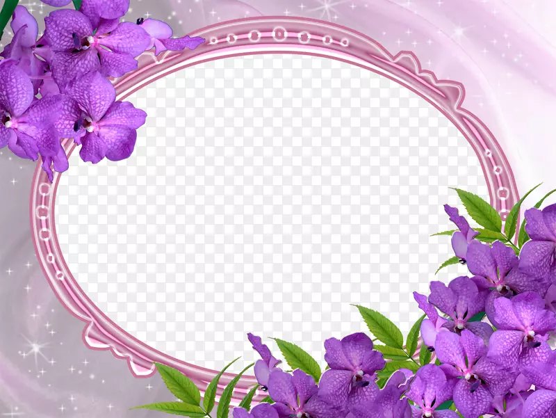 Kozhikode相框爱情友谊-紫色婚纱相框PNG