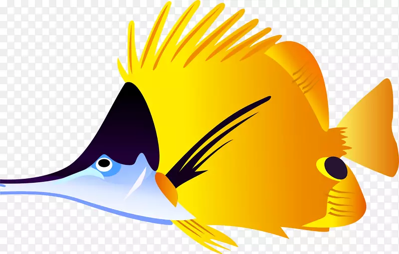 热带鱼鲫鱼夹艺术-图片鱼下载