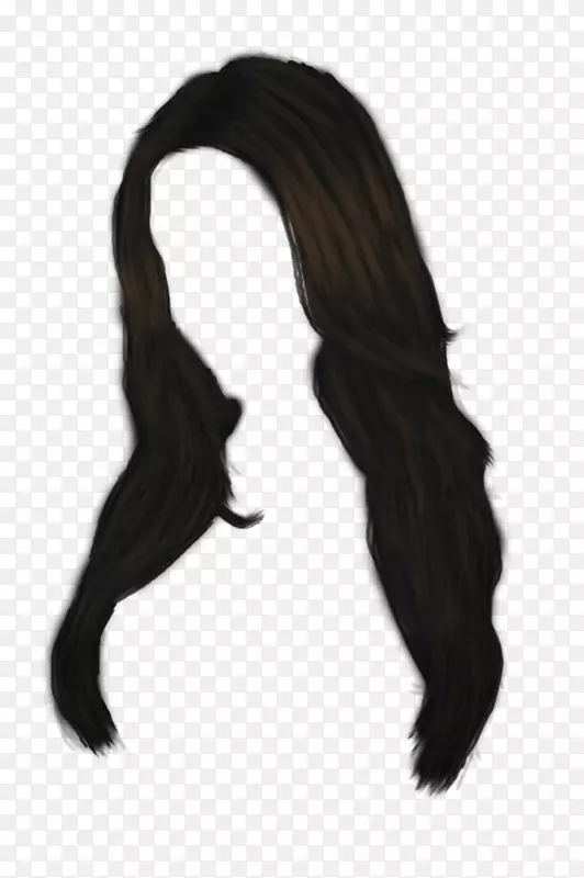 黑头发棕色剪贴画-女性发PNG形象