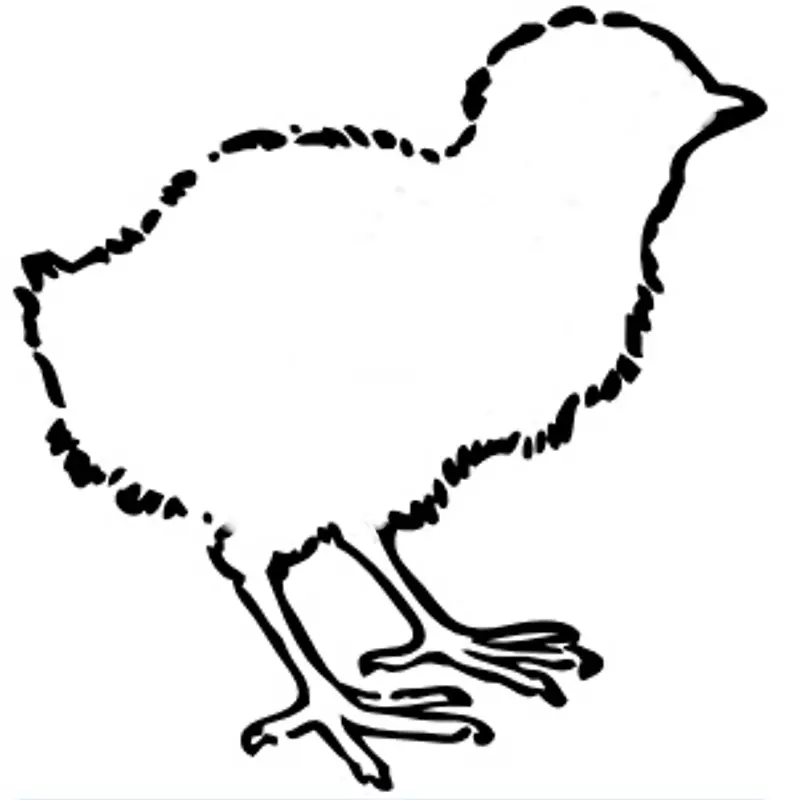 鸡kifaranga电脑图标剪贴画-鸡轮廓