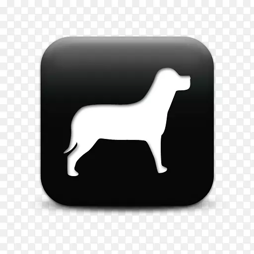 狗电脑图标宠物店剪贴画-图标狗png下载