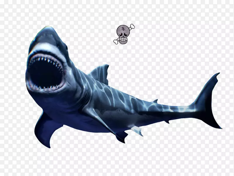 大白鲨虎鲨-可怕的大白鲨png